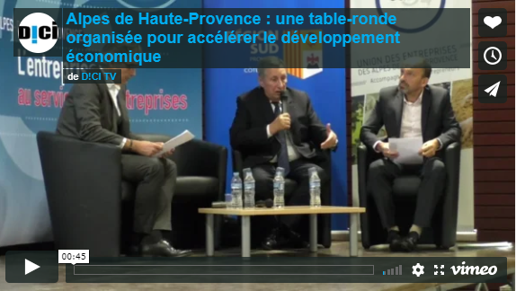 capture DICI TV_UDE04 CCI _table ronde economie_2811