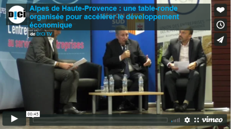 capture DICI TV_UDE04 CCI _table ronde economie_2811